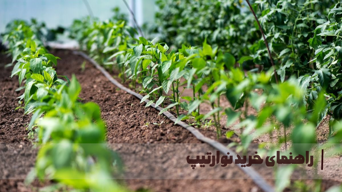 راهنمای خرید و بهترین قیمت‌ها در ۱۴۰۴