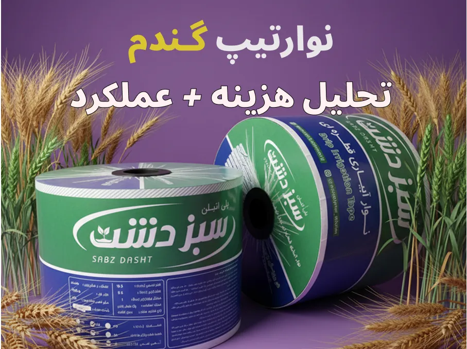 نوارتیپ گندم