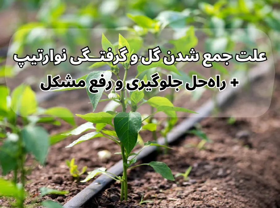 علت جمع شدن گل و گرفتگی نوارتیپ+ راه حل و رفع مشکل