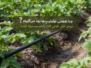 چرا بعضی نوارتیپ‌ها زود می‌گیرند؟