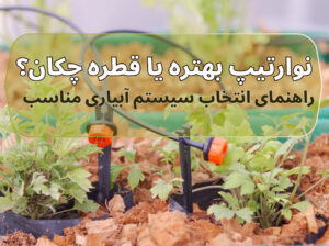 نوارتیپ بهتره یا قطره چکان؟