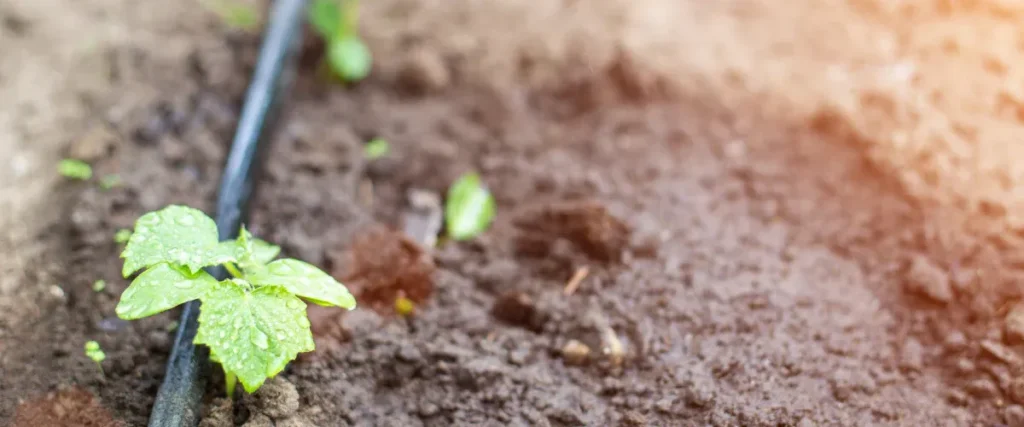 نوارتیپ بهتره یا قطره چکان؟